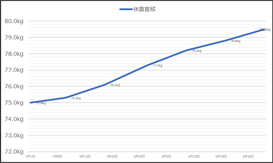 サポート実績